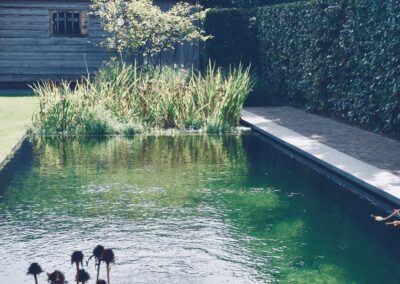 LANDELIJKE TUIN MET ZWEMVIJVER – VREMDE