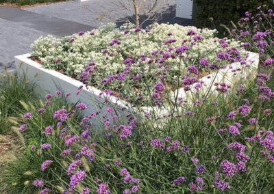 OPRIT IN NATUURSTEEN – BOECHOUT