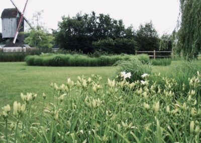 LANDSCHAPSTUIN NOORDERWIJK