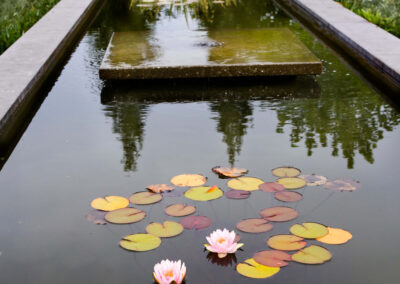 TUIN MET SIERVIJVER LINT