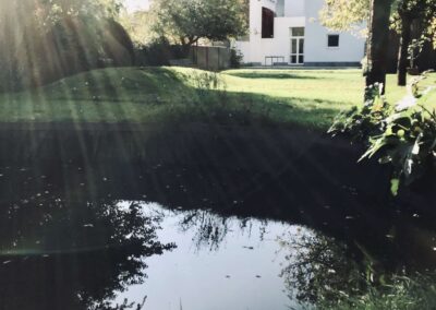 NATUURLIJKE POEL BOECHOUT