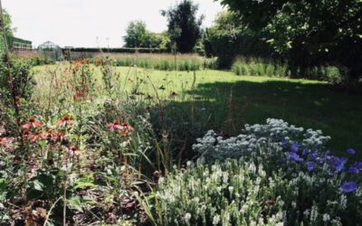 NATUURLIJKE TUIN VREMDE